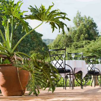 prachtige groene omgeving houten terras van een lodge met tafels en stoelen in een hele groene omgeving tanzania