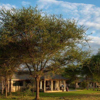 mooie locaties groen grasveld met bomen en een veelkleurige villa bij Arusha tanzania