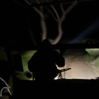 night gamedrive nightgamedrive vanuit de auto zien we een man voorop de auto zitten met een lamp om zo dieren te spotten in het donker