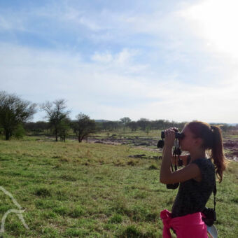 wilde dieren spotten meisje met verrekijker die aan het wild spotten is tijdens een wandelsafari op de serengeti