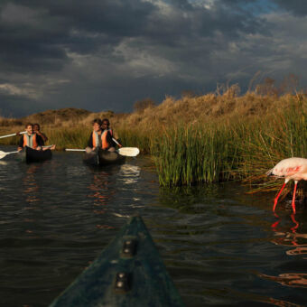 Kano safari Lake Momela Arusha National Park Tanzania Activiteiten Tanzania kanosafari. Twee kano's met vier mensen op Lake Momela Arusha National Park. Ze zijn vlakbij een flamingo die in het water staat.