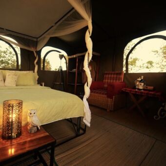 slaapkamer close up van de slaapkamer met groot bed en klamboe in een canvasten die op een platvorm is gebouwd hoog bovenop een landrover serengeti tanzania