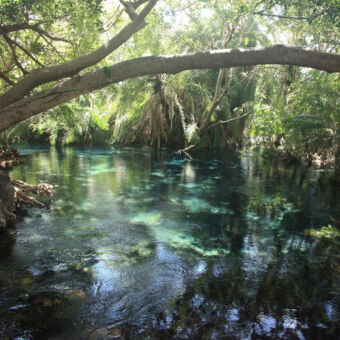 verborgen paradijsje water van de chemka hot-springs in een dicht bos in tanzania