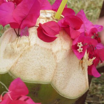 kokosnoot drankje tropisch drankje van een kokosnoot opengekapt met in het midden een gaatje waar een rietje inzit omringt door bloemen