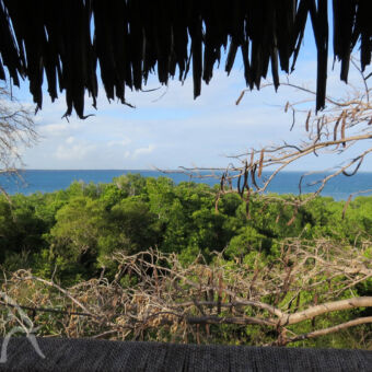 uitzicht vanuit de boomhut van de veranda van een boomhut opmafia eiland het uitzicht over de toppen van de bomen en de indische oceaan