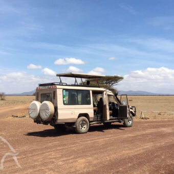 safari auto met panorama dak safari auto met open panoramisch dak van droomreis tanzania midden op de weg bij de serengeti