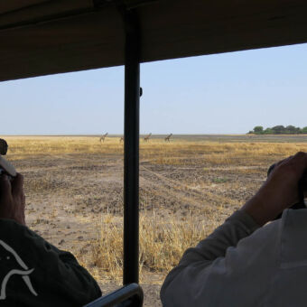 giraffen spotten vanuit de auto twee mensen met verrekijker die giraffes spotten op een droge gele vlakte bij katavi