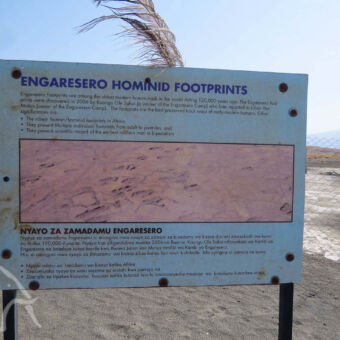 een van de oudse voetafdrukken van mensen informatie bord over de Engaresero homonid footprints de oudste voetafdruk vlakbij lake natron tanzania
