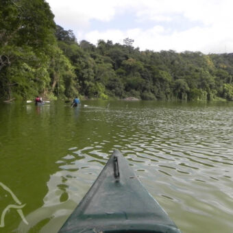 groene natuur twee kano's met mensen erin peddelen op het Duluti meer in tanzania