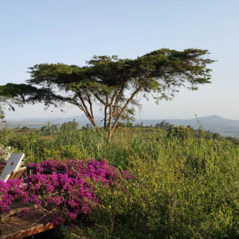 heuvelachtige omgeving uitzicht vanaf het terras van rhotia valley over de heuvelachtige groene vruchtbare omgeving