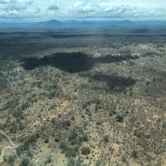 Ruaha van boven vanuit een vliegtuigje kijken we neer op het landschap van ruaha met dorre gele stukken en groene plekken met bosjes