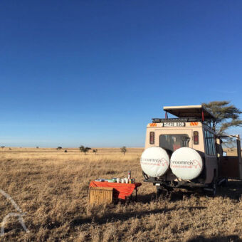 picknick in de Serengeti grote vlakke vlakt met hier en daar een boom met op de voorgrond een gedekte ontbijttafel en de safariauto ernaast klaar voor een ontbijt tijdens de gamedrive oude serengeti