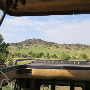 uitzicht op de groene vlaktes van de serengeti staand in de safariauto met het dak open
