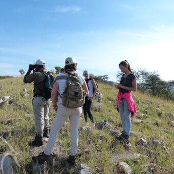 op pad met een gespecialiseerde wandelgids groepje van mensen met gids die door de verrekijker kijkt over de serengeti op zoek naar wild tijdens een wandelsafari