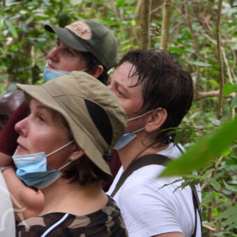 ademloos toekijken bezweet mensen dia ademloos kijken naar chimpansees verderop