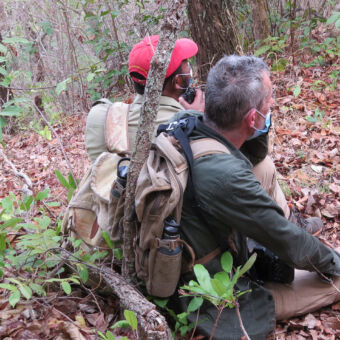 vlakbij de chimps man met gids zittend te kijken haarchimpansees op een chimpansee trekking
