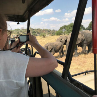 vrouw staand in de safari auto die een foto neemt van een groep olifanten die heel dichtbij de weg willen oversteken