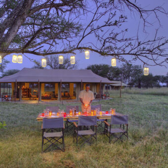 Kimondo Camp Dinner under the stars houten dine tafel helemaal gedekt met kaarsjes onder een boom met lampionnen voor een privé diner bij Kimondo rubondo lake victoria tanzania luxe safari