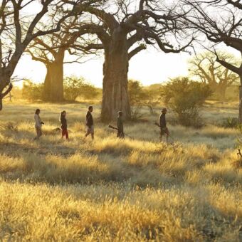 Wandelsafari Ruaha National Park Tanzania Activiteiten Tanzania wandelsafari. Drie mensen op een rij met een gids en ranger met geweer wandelend door het goudgele gras in Ruaha National Park Tanzania. Kichaka lodge