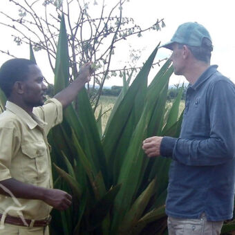 culturele wandeling bij Rhotia Valley man met gids stilstaand bij een plant tijdens een culturele wandeling in de buurt van Rhotia Valley tanzania
