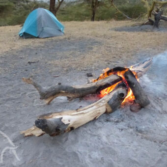 kampvuur bij Acacia camp hout met kampvuur en tentje op de achtergrond bij Acacia camp tanzania