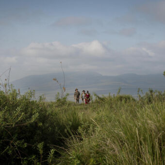 Wandelsafari Wandelreizen Tanzania. Drie mensen met een Masai gids wandelen door het Ngorongoro gebied met de krater rim op de achtergrond