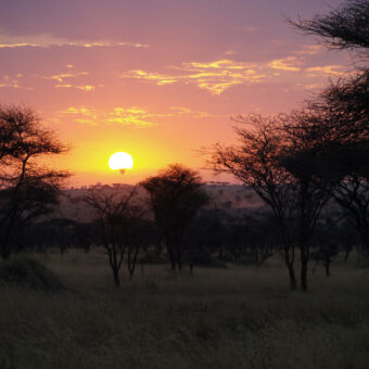 OLYMPUS DIGITAL CAMERA Mooie zonsopkomst in Tarangire National Park