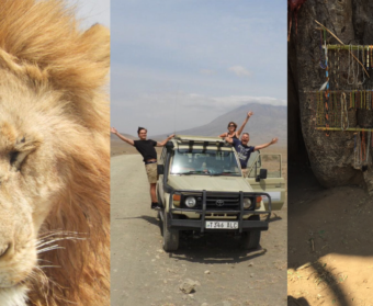 overzicht van een mannetjesleeuw met gouden manen safari auto met familie handen in de lucht masai bij lake natron safari voor 3 tanzania