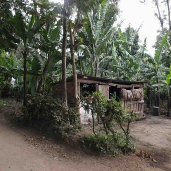 Tanzania wandelervaring Arusha Woonhuis van hout en palmbladeren