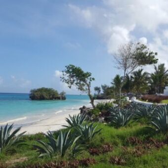 uitzicht vanaf lodge over het strand met veel groen en azuurblauwe zee pemba tanzania familie met oudere kinderen