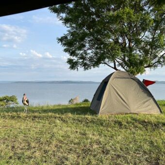 koepeltentje bij het Burigi-Chato meer in Tanzania