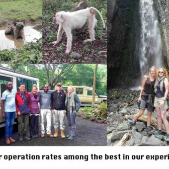 fotocollage van een droomreis door gasten van droomreis tanzania