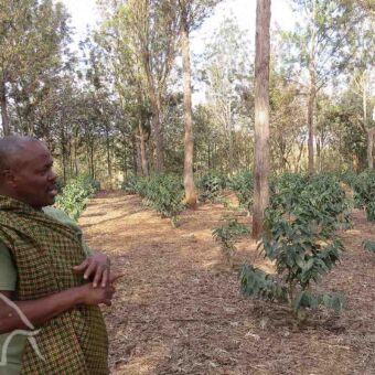 koffieplantage waar een coffee tour wordt gehouden