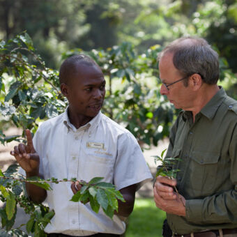 Activiteiten Tanzania koffie toer met een gids Activiteiten Tanzania koffie toer. Twee mannen staan bij een koffieplant. De gids geeft informatie en uitleg aan de geïnteresseerde gast