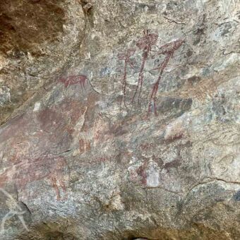 rotstekening bij kolo in tanzania