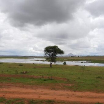 landschap van Tarangire met op de voorgrond groen gras daarachter een rivier en in de verte een hoge berg