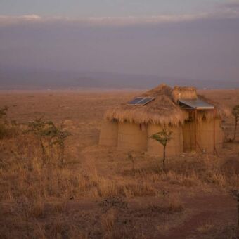 masai hutje bestaande uit klei en gedekt met riet in de open vlakte van Tanzania