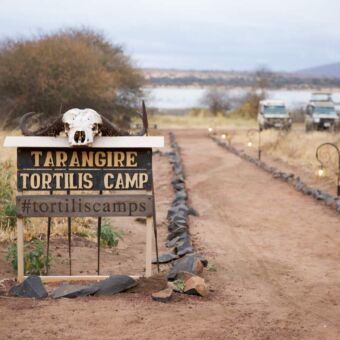 bord met de naam van tortilles camp bij de ingang van het camp in tarangire