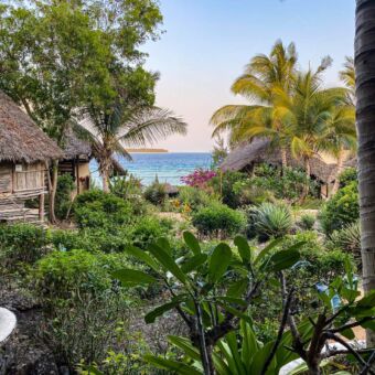 groene tropische planten met daarachter huisjes en de indische oceaan op zanzibar