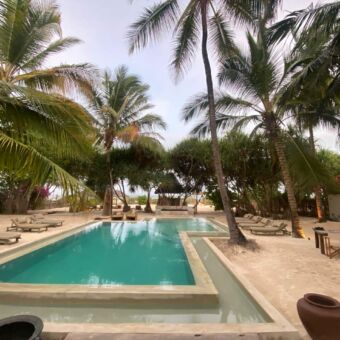 uitzicht op een zwembad omringt met palmen bij een accommodatie op zanzibar