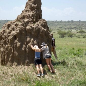dire mensen die tegen een termieten heuvel drukken in tanzania
