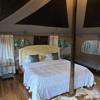 overzicht van de kamer bij het green camp in lake manyara tented camp. Er is een groot bed met witte lakens en een frame erom heen met een klamboe