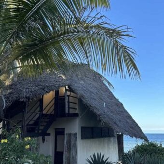 prachtige palmen met daarachter een wit gebouw waar een aantal kamers inzitten van sunshine marien lodge