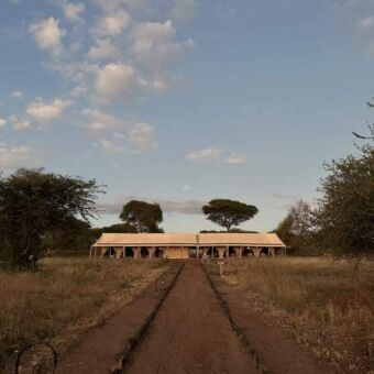 geel gras op de voorgrond en verder op de kaky dining tent van tortiles