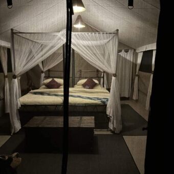 grote safari tent met opengeslagen flappen aan de voorkant waardoor je uitzicht hebt op het mooi opgemaakte bed