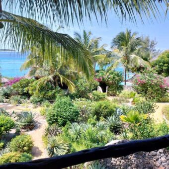 overzicht van een tuin met heel veel groen en tropische planten met daarachter de indische oceaan op het eiland zanzibar