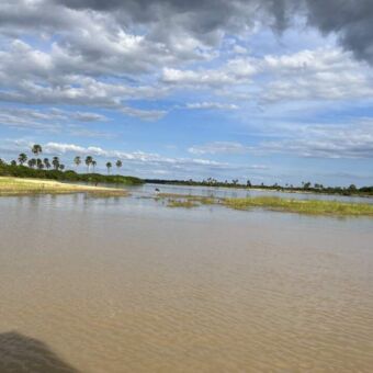 overzicht over de rufiji rivier in Selous national park