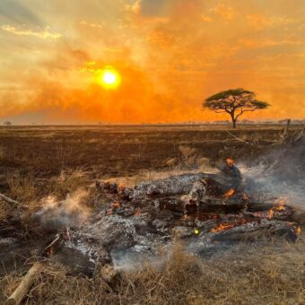 op de voorgrond een kampvuur wat bijna uit is en daarachter de oranje lucht met een zonsondergang op de vlaktes van de Serengeti