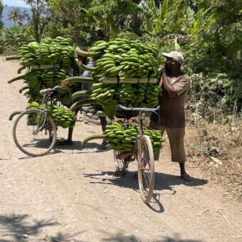 Rondreis Tanzania. Gasten van Droomreis Tanzania kwamen deze 2 fietsers tegen. Ze hebben hun fiets volgeladen met groene bananen