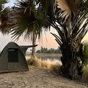 Safari Tanzania. Op een special campsite staat een safari tentje onder een palmboom aan de Ugalla rivier.